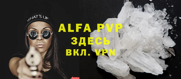 крисы Баксан