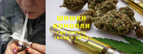 крисы Баксан
