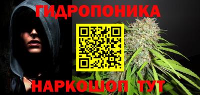 молекула духа Заволжье