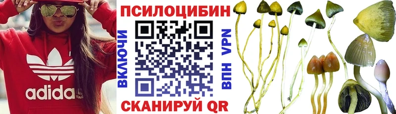 Псилоцибиновые грибы Magic Shrooms  Барабинск 